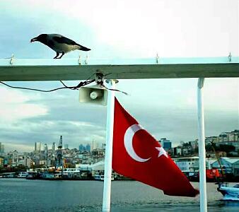 青岛去土耳其旅游团-伊斯坦布尔,棉花堡,费特希耶滑翔伞,安塔利亚游船,小番红花城12日游q