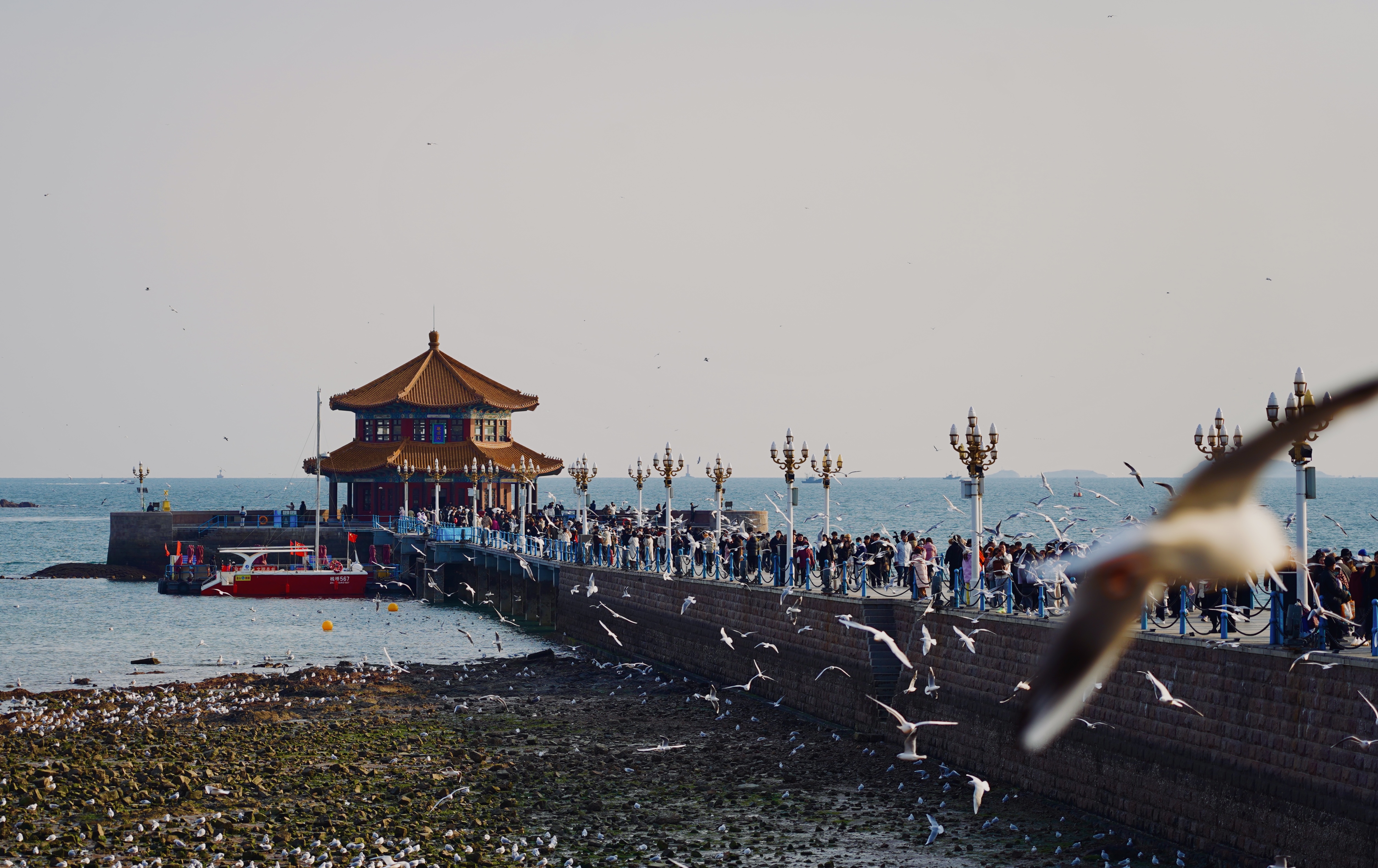 青岛哪里好玩|青岛旅游景点|一见青心青岛三日游w