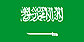 沙特阿拉伯签证办理